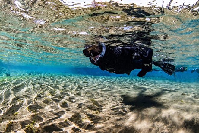 Snorkeling Silfra Group Tour photo 3