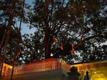 Anuradhapura-n-Mihintale-fro-mtrinco-2