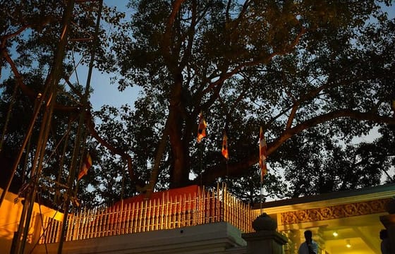 Anuradhapura & Mihintale Private Day Tour From Trincomalee