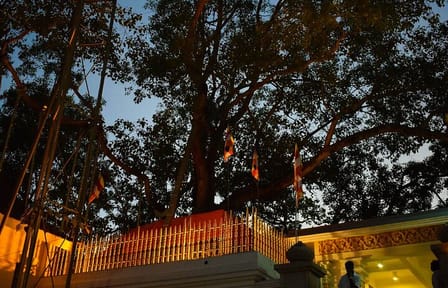Private Day Tour of Anuradhapura and Mihintale from Trincomalee
