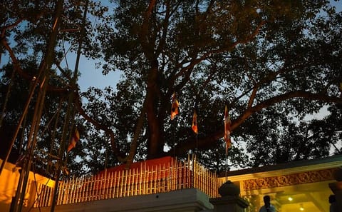 Private Day Tour of Anuradhapura and Mihintale from Trincomalee