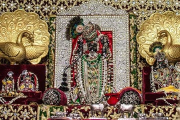 10-Day Gujarat Tour: Wildlife Exploration and Gandhi's Legacy