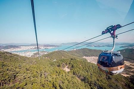 Private Tour of Busan to Seoul: Discover Suncheon Bay, Hongdo Island & More