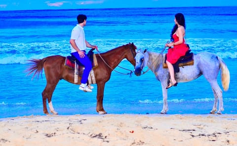 Horseback Riding Adventure to Macao Beach in Punta Cana