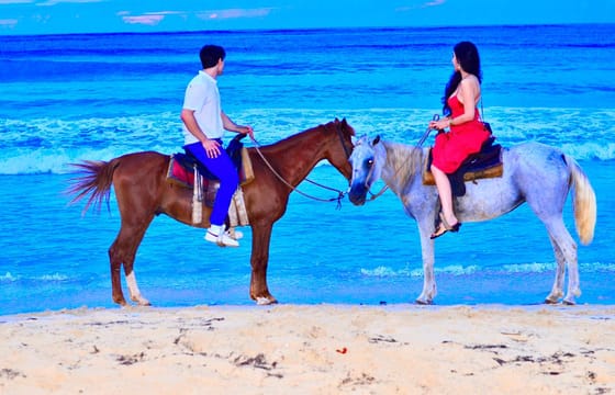 Punta Cana Horseback Riding: Gallop to Macao Beach