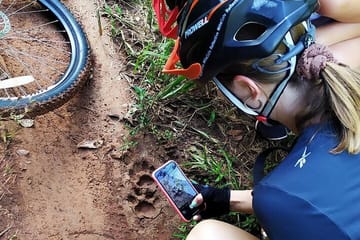 Jungle Wildlife Bike Tour to Iguazu National Park & Jaguar Road