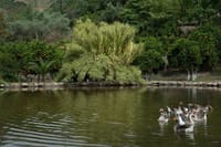 Half Day Private Tour to Botanical Garden in Chania 8
