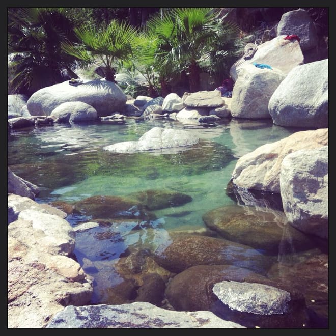 Natural freshwater pools and palm oasis at Fox Canyon near Santiago, Baja California Sur