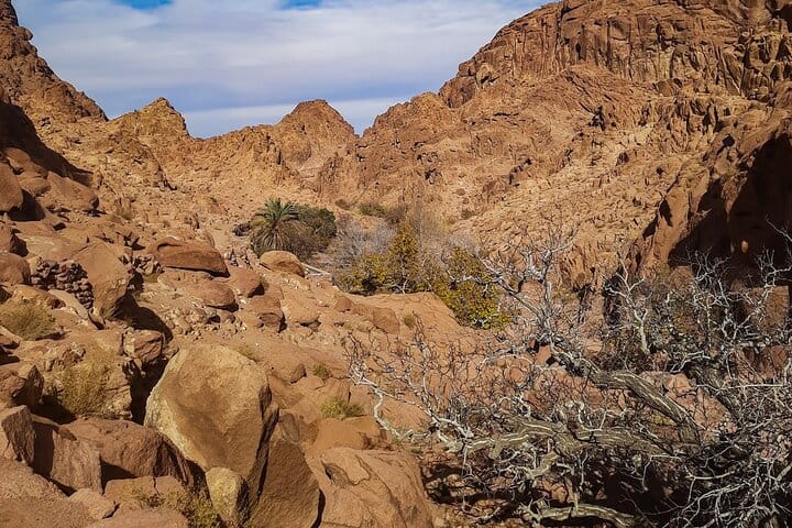 Luxor: Valley of Kings, Hatchepsut Temple ,Karnak & Luxor-DayTour