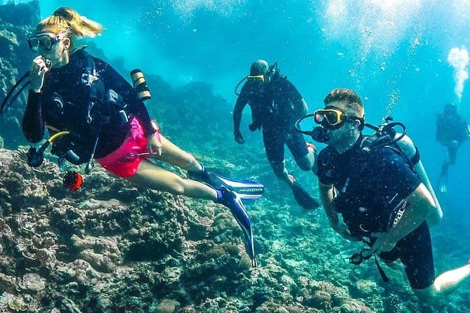Dubai : Scuba Diving in Arabian Gulf Marine Life