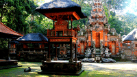 Eat Pray Love in Bali 5