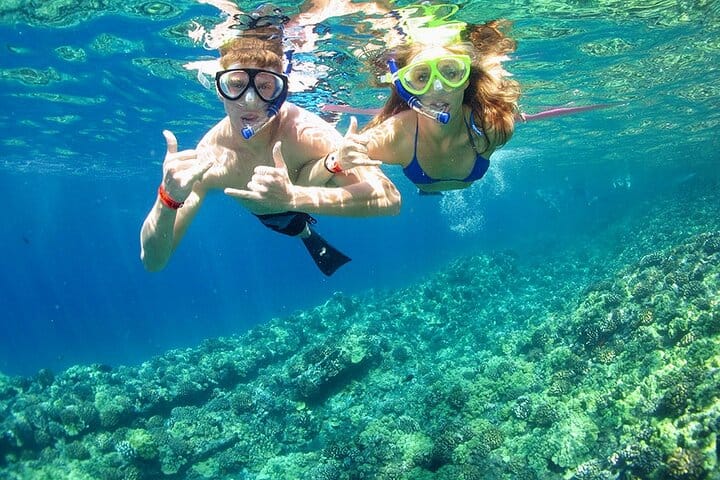 Cozumel El Cielo Sandbar and Reef Snorkeling Private Adventure 2