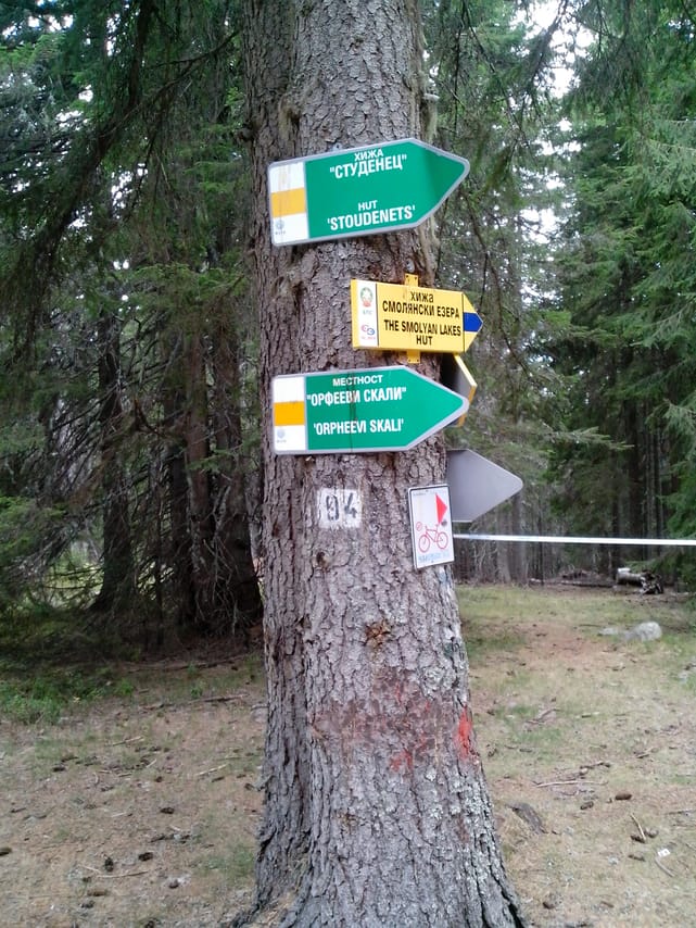 Pamporovo or Rhodopes Rent a Bike + E-guide 5