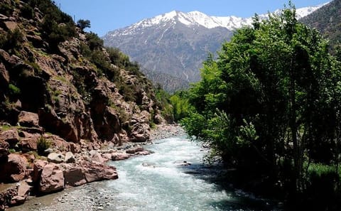 Day Trip to Ourika Valley and Atlas Mountains from Marrakech