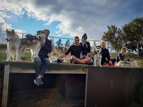 Husky Petting in Akureyri - Private experience, photo 3