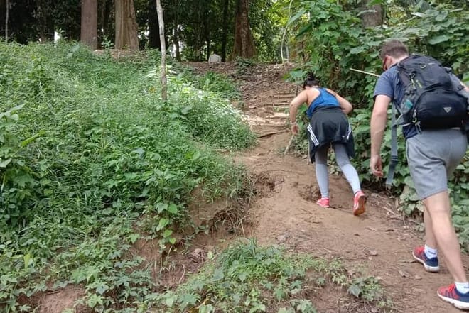Taman Negara National Park Trekking Day Tour (SIC - Join In Tour) 6