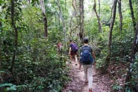 Jungle Trekking Tour at Phnom Kulen National Park from Siem Reap 1
