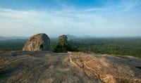 Sri Lanka Heritage, Village Life, Wildlife & Coastal Escape – 15 Days / 14 Nights 3