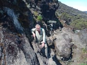 6-Day Mount Kilimanjaro Climb: Fast-Paced Machame Route Wilderness Challenge 9