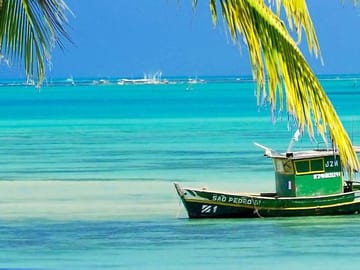Four-Day Cultural Tour of Salvador de Bahia, Brazil