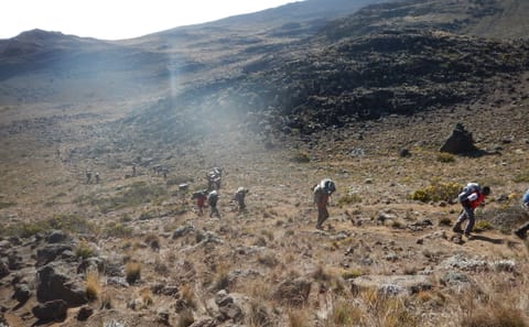 7 Day Mount Kilimanjaro Climb via Machame Route (High Summit Success)