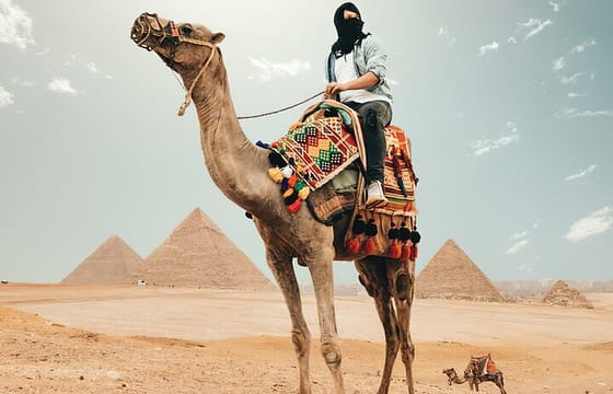 Private All Inclusive: Giza Pyramids, Sphinx, Memphis, Saqqara