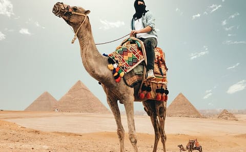 Private Guided Tour of Giza Pyramids and Saqqara in Cairo