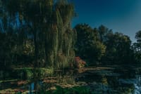 CDG Transfers with Giverny, Crepe tasting and cruise  2