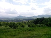 Self-Guided Elena Sights & Attractions 7