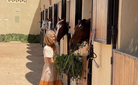 Horseback Riding Adventure on Hurghada Beach