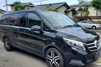Dublin Limerick Dublin Round Trip Private Transfer 7