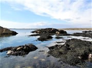 Abalone Farm Tour, Tasting and Coastal Seaweed Walk. Galway. Guided. 2