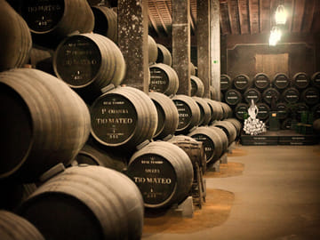 Private Winery Tour in Jerez de la Frontera, Spain