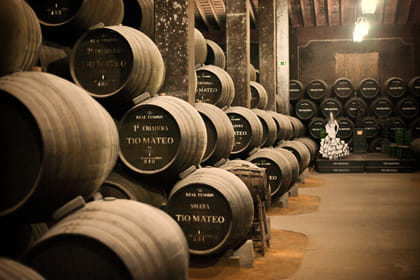 Jerez winery private visit