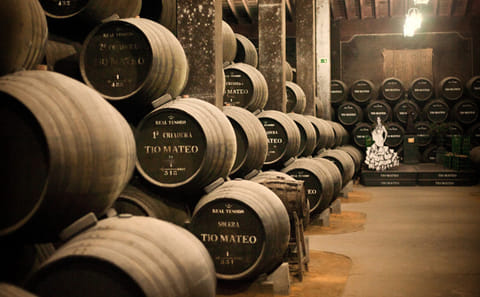 Private Winery Tour in Jerez de la Frontera, Spain