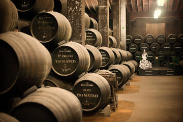 Private Winery Tour in Jerez de la Frontera, Spain
