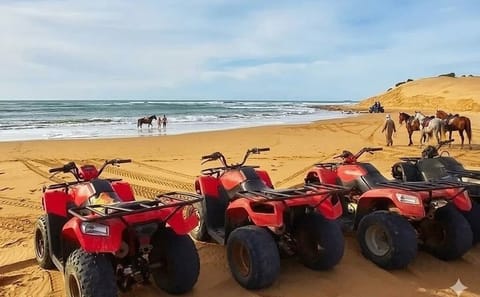 Hurghada ATV and Buggy Desert Safari with Camel Ride