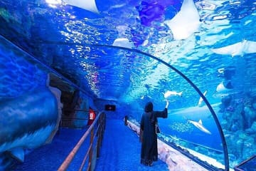 Dubai Aquarium and Underwater Zoo plus Penguin Cove Tickets
