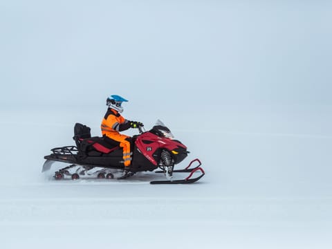 Golden Circle Small Group & Snowmobiling Tour