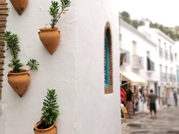 From Malaga: White Village Roudtrip