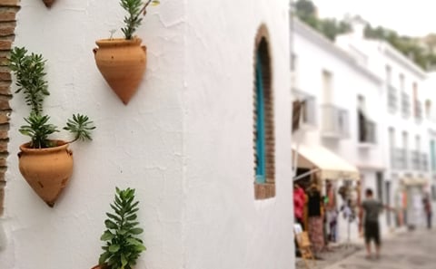 From Malaga: White Village Roudtrip