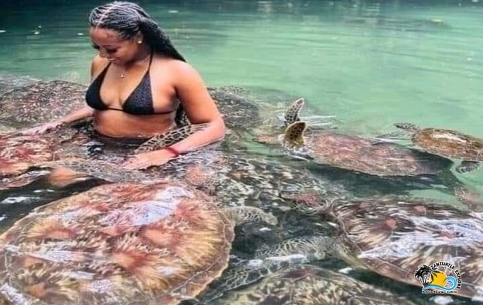 Baraka Aquarium in Swimming with Turtles and Sunset Dhow Cruise