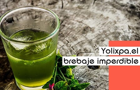 Cantinas de Puebla Tour