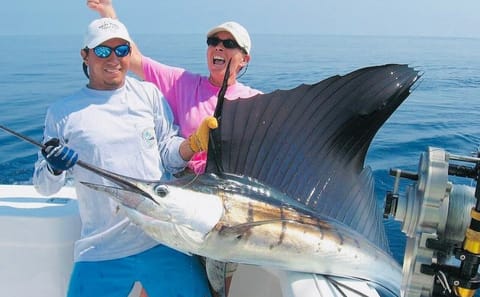 Deep-Sea Fishing Charter in Punta Cana for Marlin and Tuna