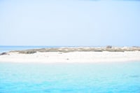 Marsa Mubarak Intro Dive &amp; Snorkeling with Transfer : Marsa Alam
