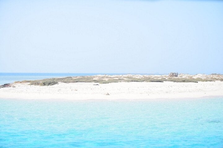 Marsa Mubarak Intro Dive & Snorkeling with Transfer : Marsa Alam