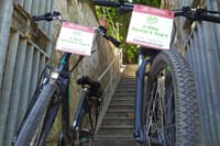 Rome Electric & Muscle Rental Bike: from 2 to 8-hour 5