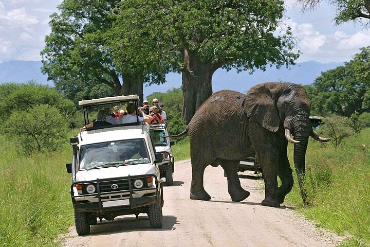 Amboseli National Park Safari: Elephants & Mount Kilimanjaro Adventure