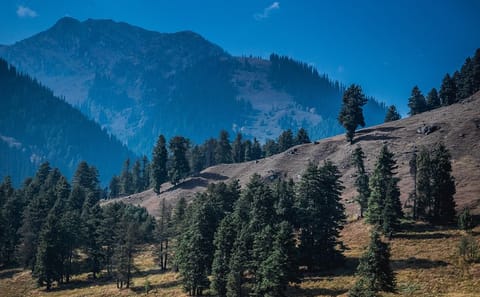 Pahalgam Day Trip from Srinagar with Cultural Highlights