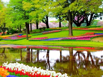 Keukenhof Gardens - Netherlands.